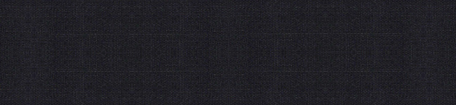 schwarz 4994